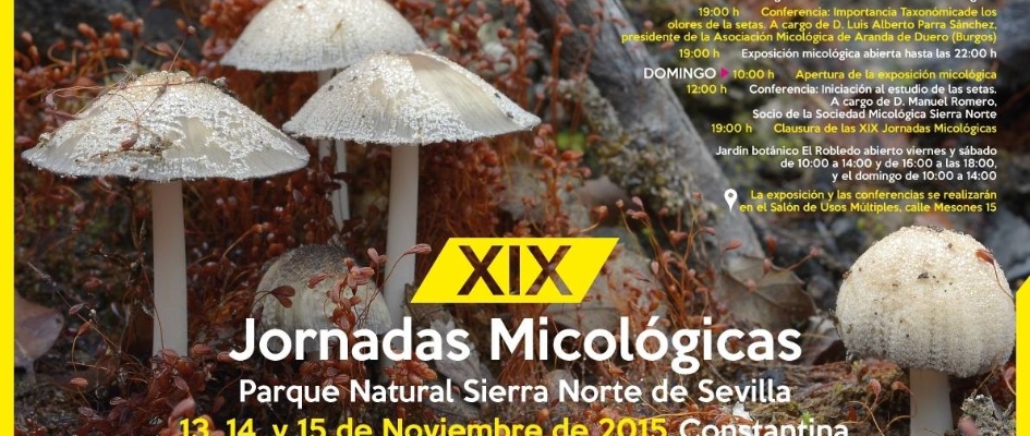 XIX_Jornadas_Micologicas_Sierra_Norte_de_Sevilla.jpg